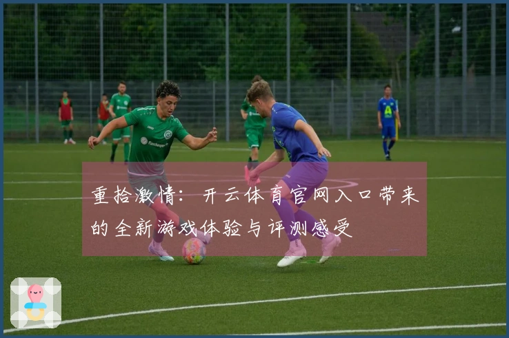 重拾激情：开云体育官网入口带来的全新游戏体验与评测感受