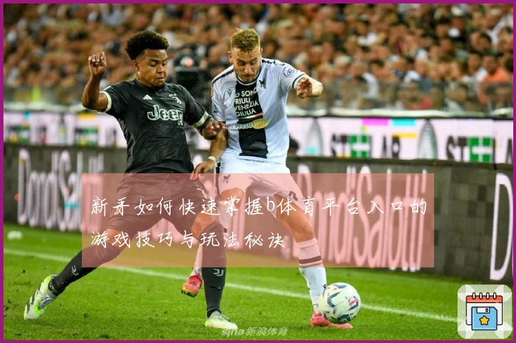 新手如何快速掌握b体育平台入口的游戏技巧与玩法秘诀