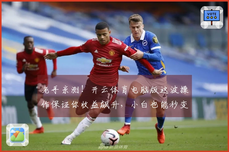 老手亲测！开云体育电脑版这波操作保证你收益飙升，小白也能秒变大神！