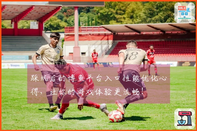 踩坑后的博鱼平台入口性能优化心得，让你的游戏体验更流畅！